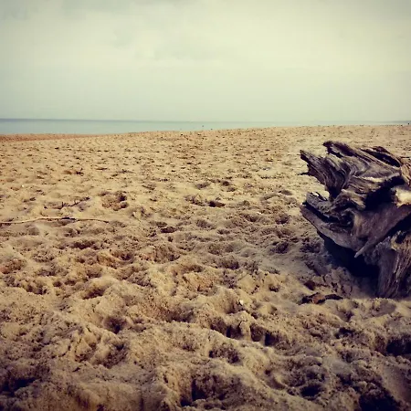 ホームステイ Island4u