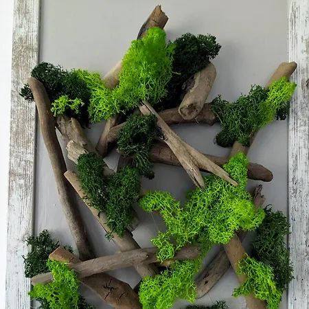 ホームステイ Island4u