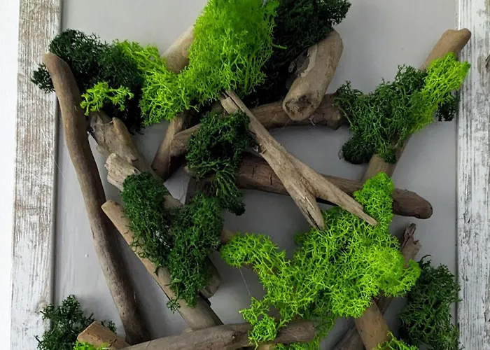 Quarto em Acomodações Particulares Island4u