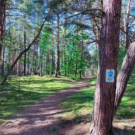 Island4u Privat bolig Gdańsk