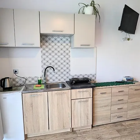 Island4u Privat bolig Gdańsk